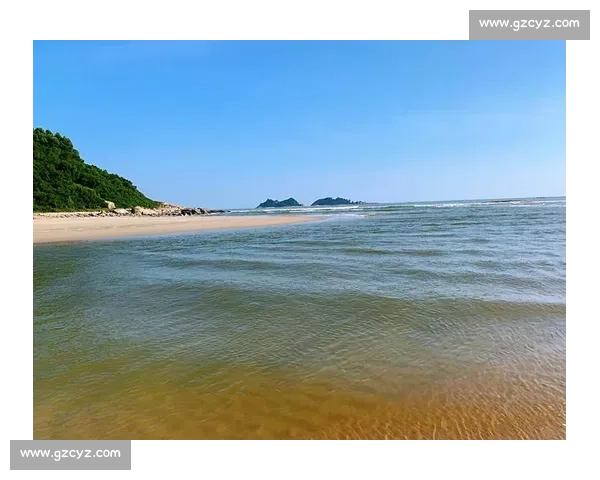 全运沙足教练点赞阳江：海陵岛黄金沙滩堪称国际赛事理想地