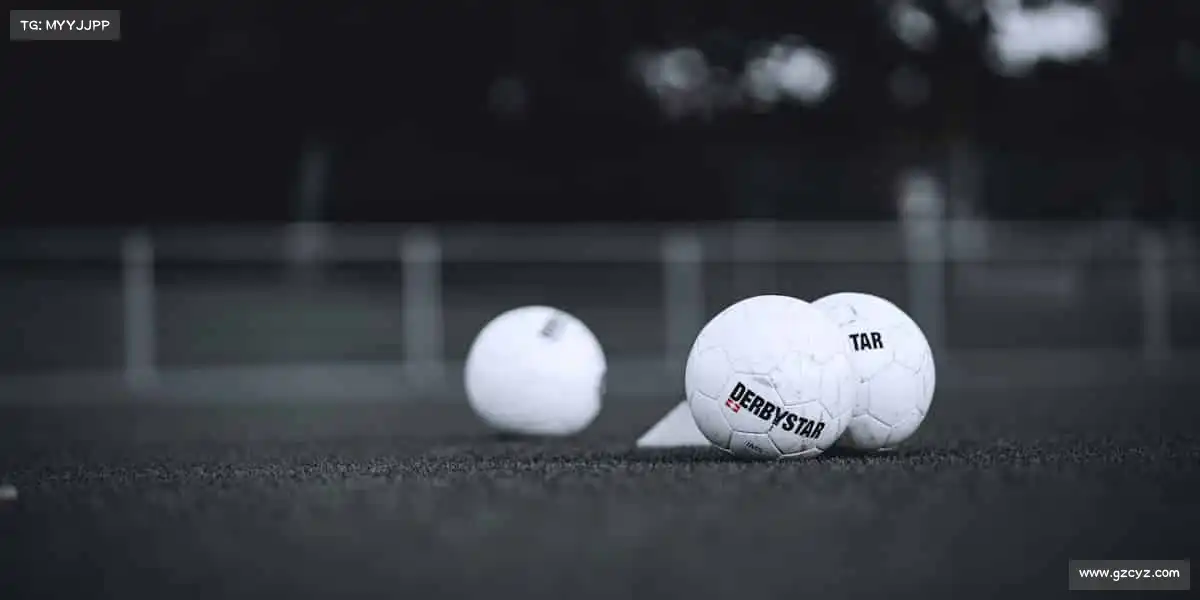 行业领先的理由